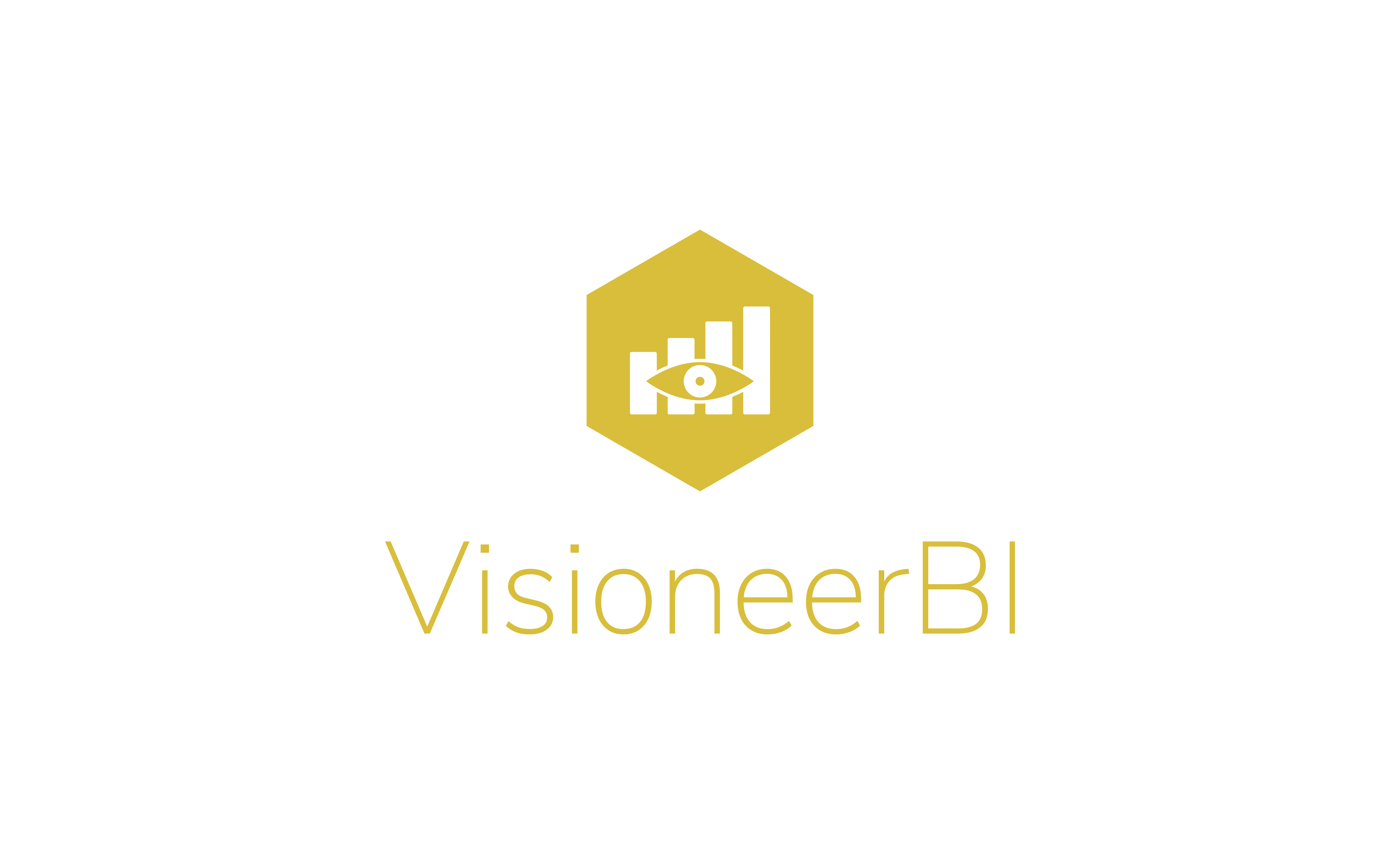 VisioneerBI